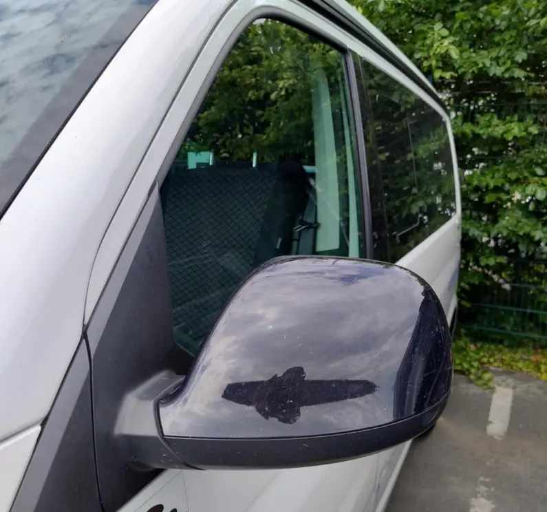 VW California mirror left side black