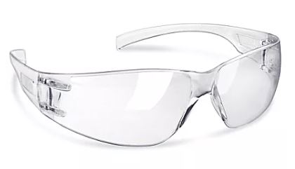 [22101250] Safety Glasses (NA)